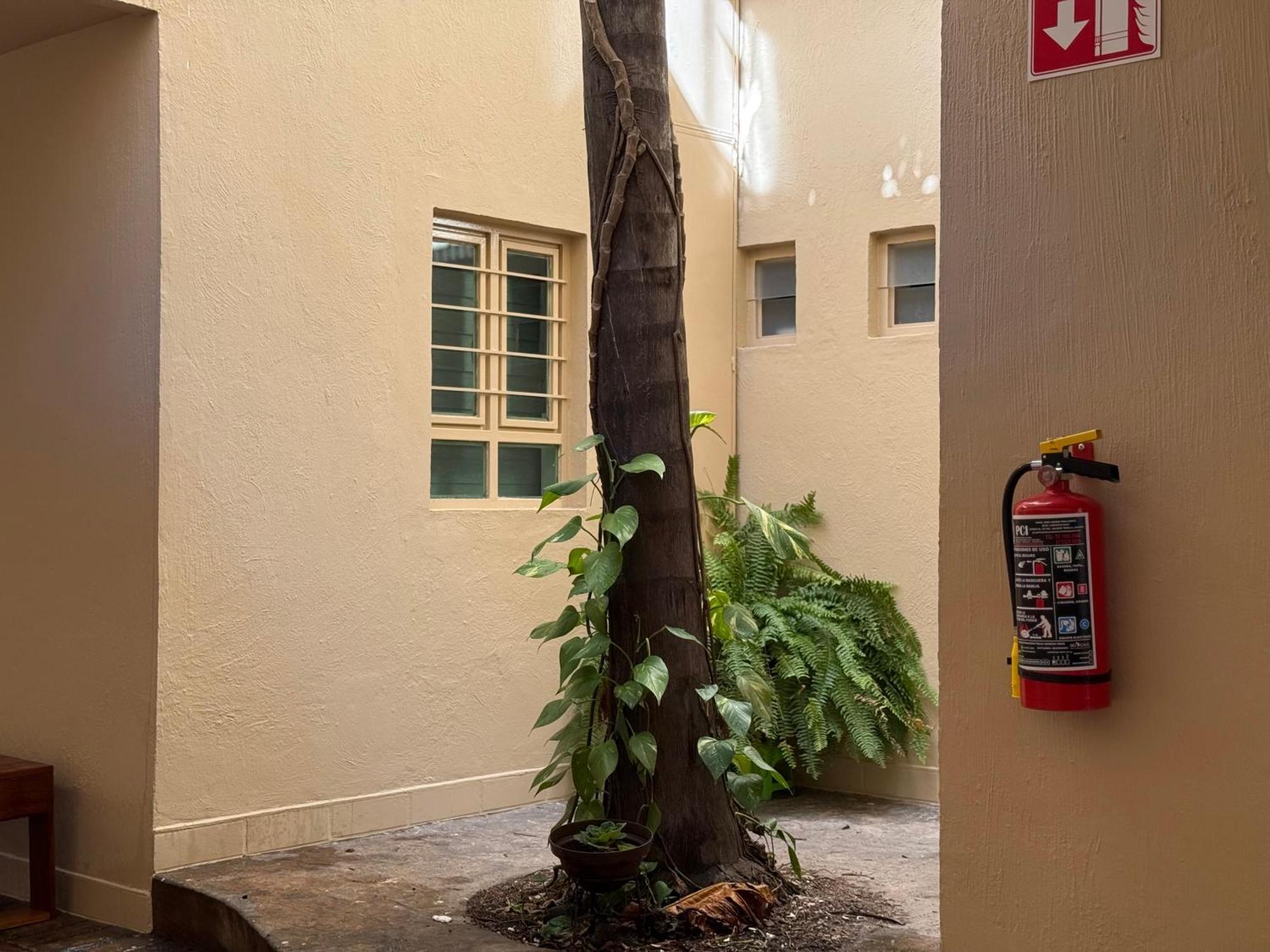 Villa La Palma Hotel Tequila Luaran gambar