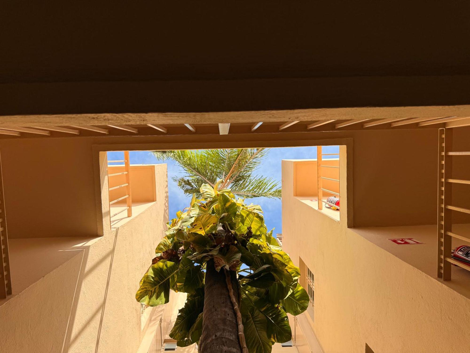 Villa La Palma Hotel Tequila Luaran gambar